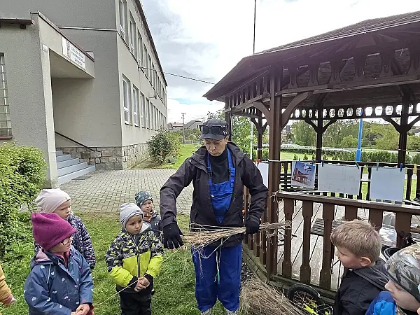 Náhled obrázku