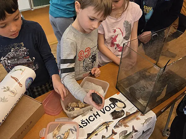 Enviromentální program