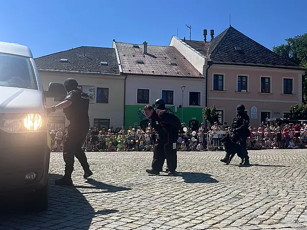 Náhled obrázku
